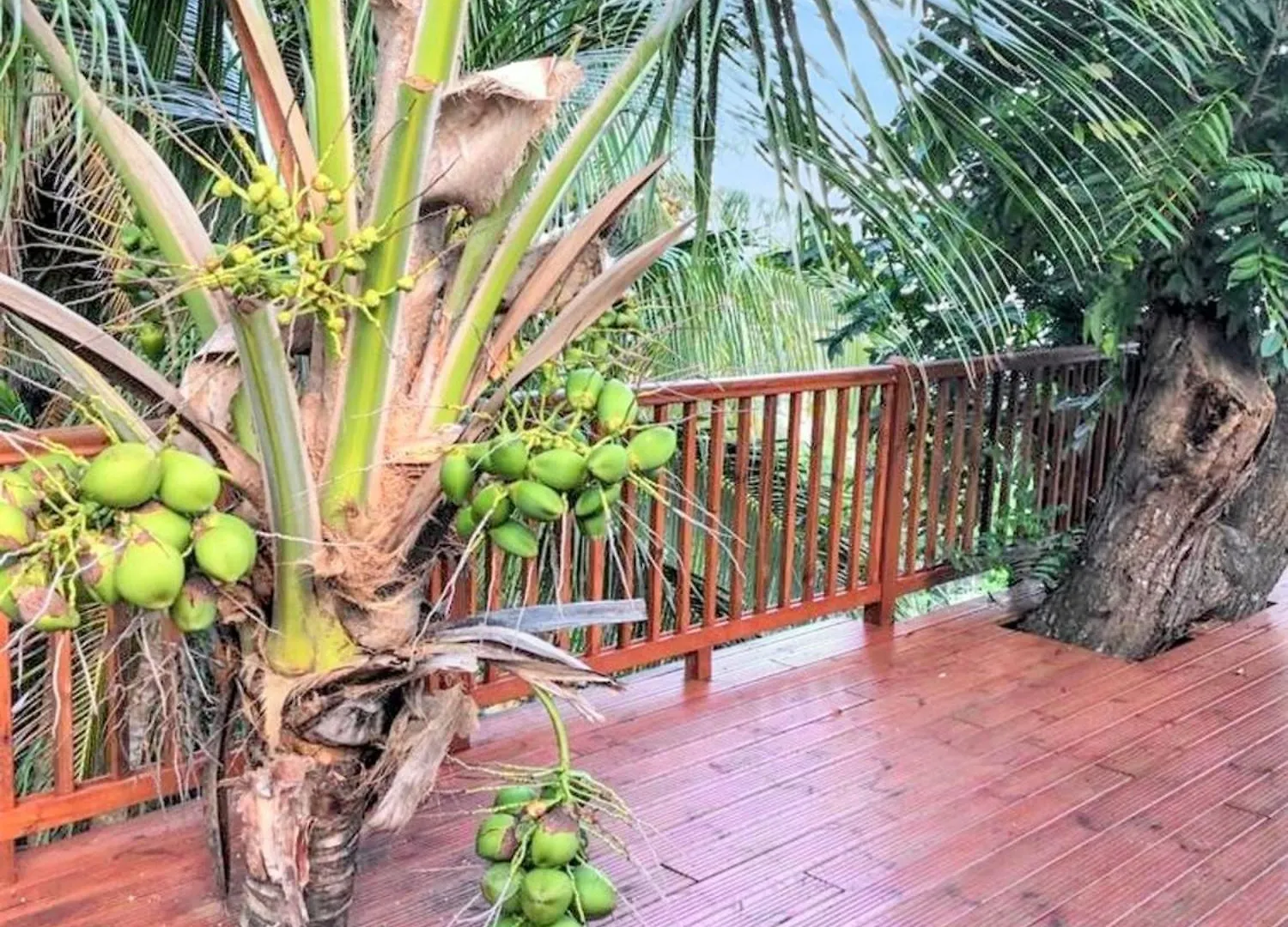 Holiday home La Trinité Seaside Villa: 2-Bedroom with Pool and Garden Martinique