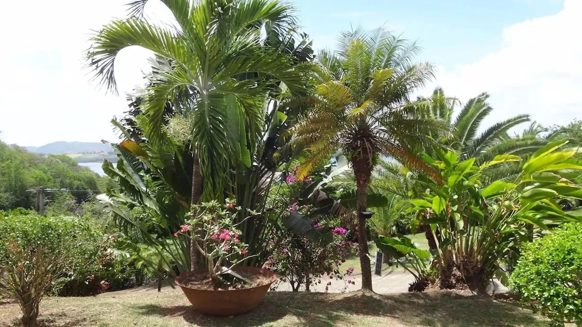 Holiday home La Trinité Seaside Villa: 2-Bedroom with Pool and Garden